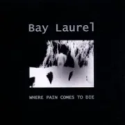 At night - Bay laurel