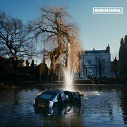 Back To Me - Rudimental