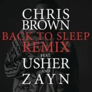 Back To Sleep (Remix) - Chris Brown