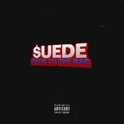 BACK TO THE BAG - Moneysign Suede