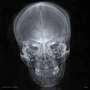 BAJO ZERO - Natos Y Waor