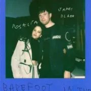 Barefoot in the Park - James Blake