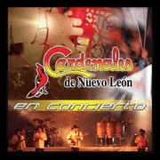 Belleza De Cantina (En Directo) - Cardenales De Nuevo León