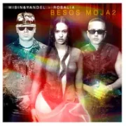 Besos Moja2 ft. ROSALÍA - Wisin & Yandel