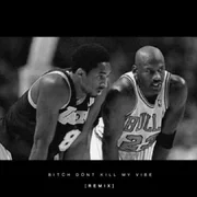 Bitch, Don’t Kill My Vibe (Remix) ft. JAY-Z - Kendrick Lamar