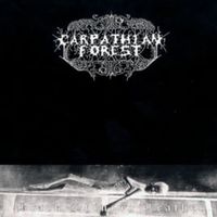 Black shining leather - Carpathian forest