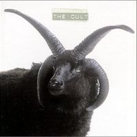 Black sun - The cult