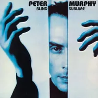 Blind sublime - Peter murphy