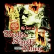 Blood on da rug pt. 2 - Brotha lynch hung