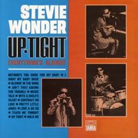 Blowin in the wind - Stevie wonder