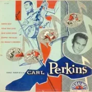 Blue suede shoes - Carl perkins