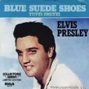 Blue suede shoes - Elvis presley