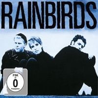 Blueprint - Rainbirds