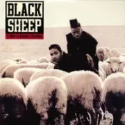 Blunted 10 - Black sheep