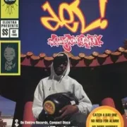 Boo boo heads - Del the funky homosapien