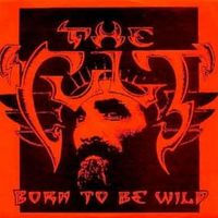 Born to be wild - The cult