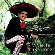 Borracho te recuerdo - Vicente Fernández