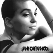 Both hands - Ani difranco