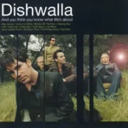 Bottom of the floor - Dishwalla