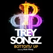 Bottoms Up ft. Nicki Minaj - Trey Songz