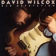 Brain fever - David wilcox