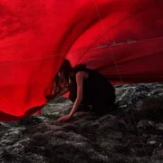 Brave Shine - Aimer
