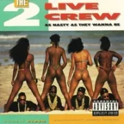 Break it on down - 2 live crew