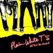 Breakdown - Plain white t's