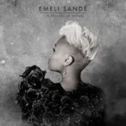 Breaking the Law - Emeli Sandé