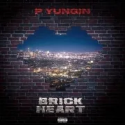 Brick Heart - P Yungin