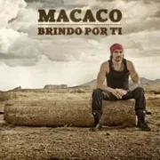 Brindo por ti - Macaco