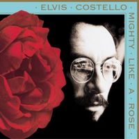 Broken - Elvis costello