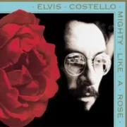 Broken - Elvis costello