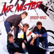 Broken wings - Mr. mister