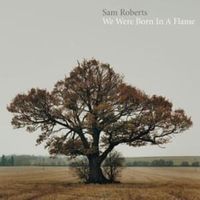 Brother down - Sam roberts