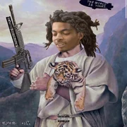 buckshot - Lazer Dim 700