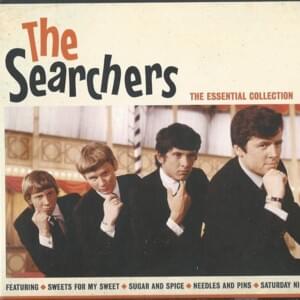 Bumble bee - The searchers