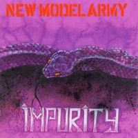 Bury the hatchet - New model army