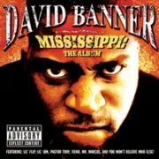 Bush - David banner