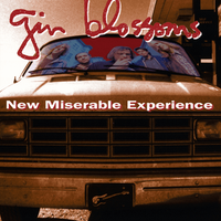 Cajun song - Gin blossoms