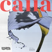 ​calla - Wave To Earth