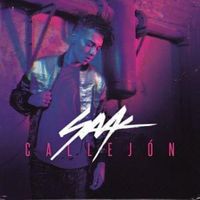 Callejón - Saak