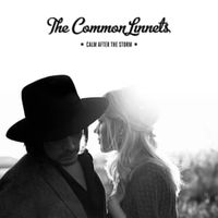 Calm after the storm - The Common Linnets