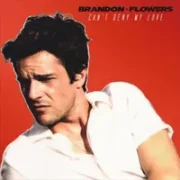 Can't Deny My Love - Brandon Flowers