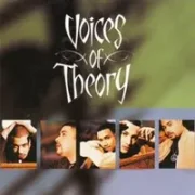 Can we go back - Voices of theory