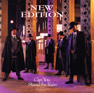 Can you stand the rain - New edition