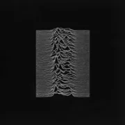 Candidate - Joy division