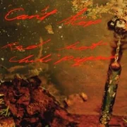 Can’t Stop - Red Hot Chili Peppers