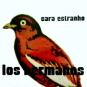 Cara estranho - Los hermanos