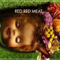 Carpet of horses - Red red meat